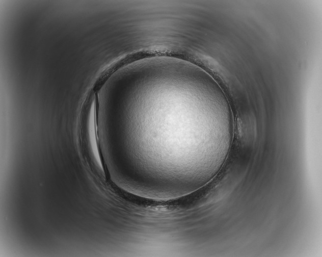X0000088690588200705311158