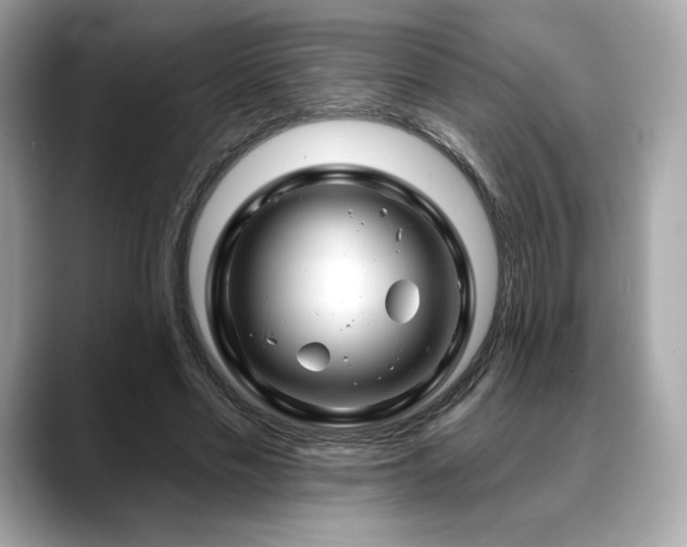 X0000088690589200705311158