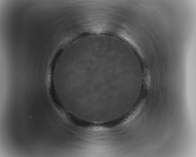 X0000088690590200705311158