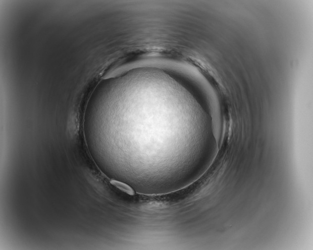 X0000088690593200705311158
