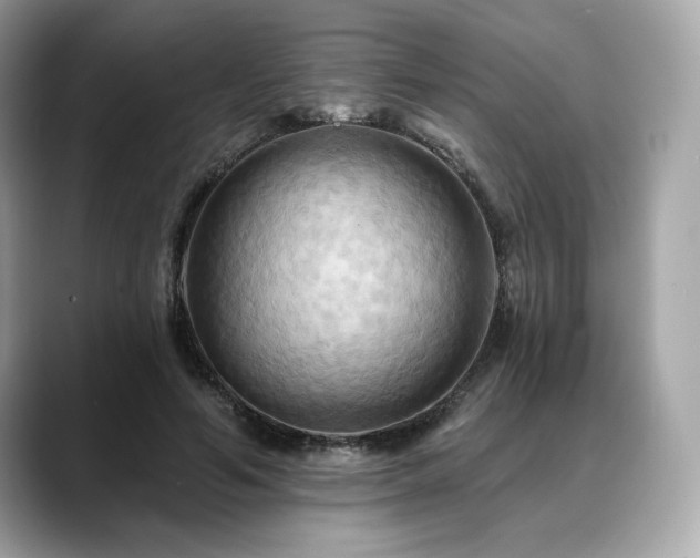 X0000088690594200705311158