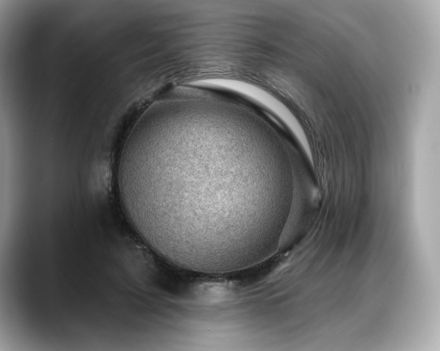 X0000088690595200705311158