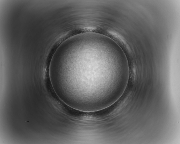 X0000088690596200705311158