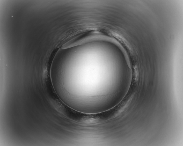 X0000088690597200705311158