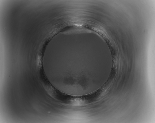 X0000088690598200705311158