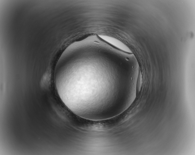 X0000088690600200705311158