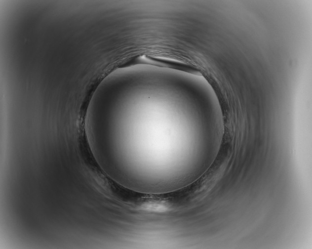 X0000088690601200705311158