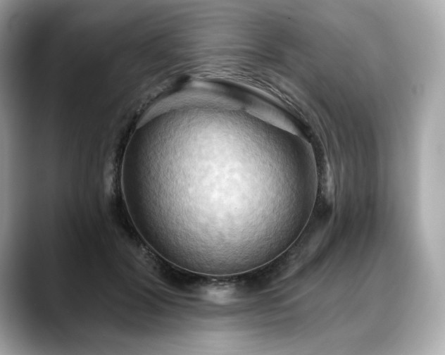 X0000088690604200705311158