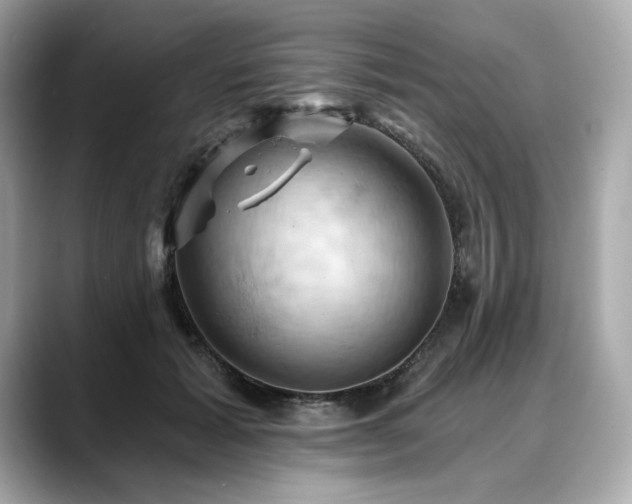 X0000088690605200705311158