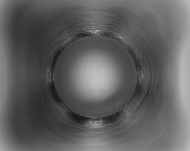 X0000088690606200705311158