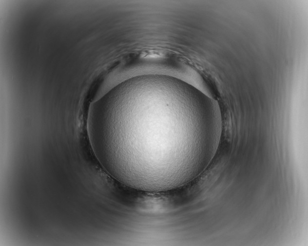 X0000088690608200705311158