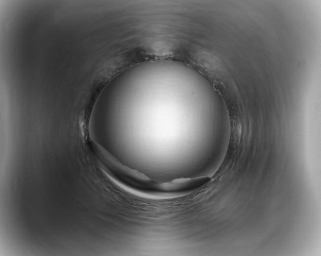 X0000088690609200705311158