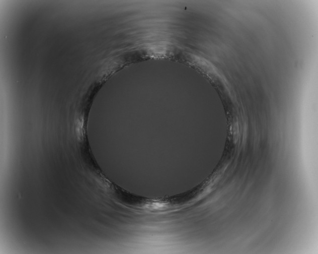 X0000088690610200705311158