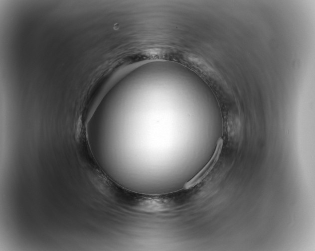 X0000088690611200705311158