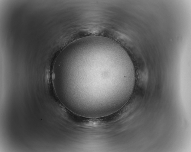 X0000088690612200705311158