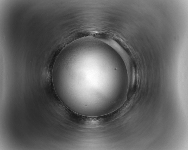 X0000088690613200705311158