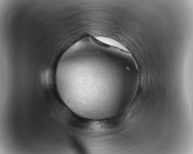 X0000088690616200705311158