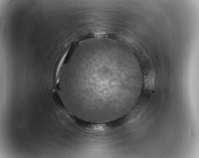 X0000088690618200705311158