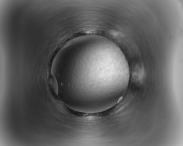 X0000088690620200705311158