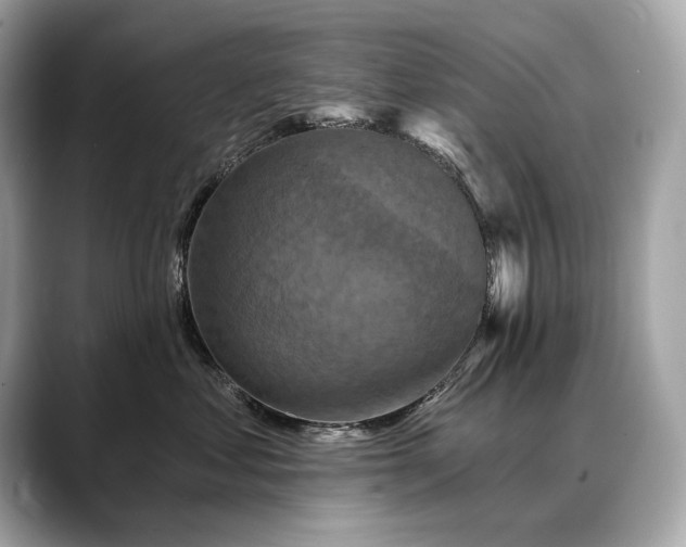 X0000088690621200705311158