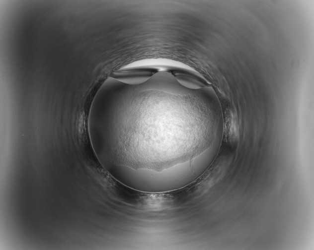 X0000088690623200705311158