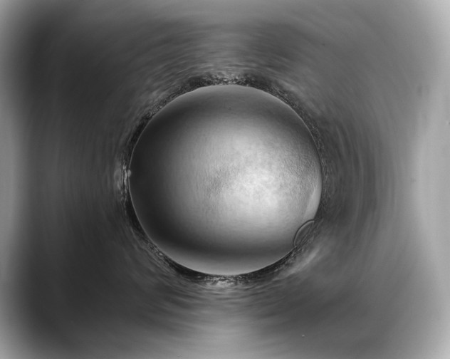 X0000088690624200705311158