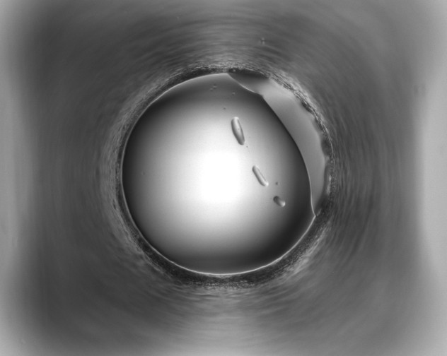 X0000088690625200705311157