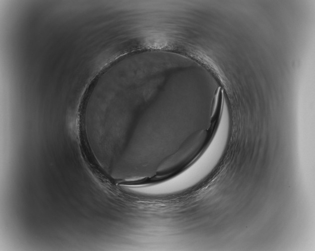 X0000088690626200705311157