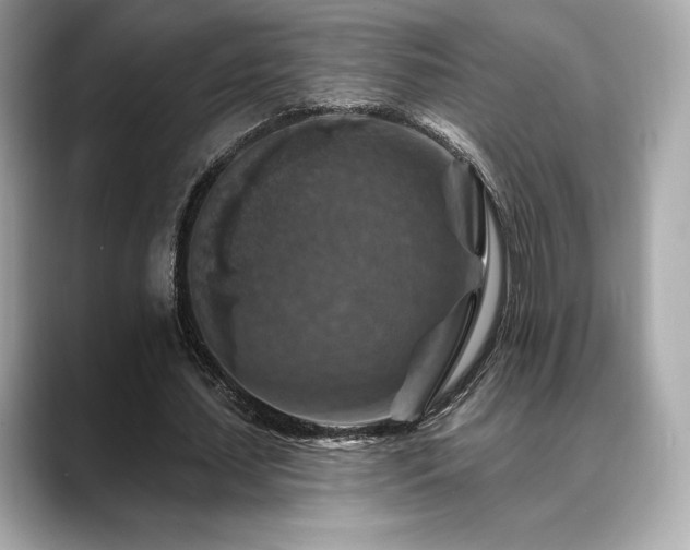 X0000088690627200705311157