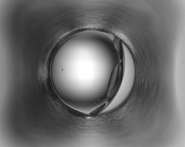 X0000088690628200705311157