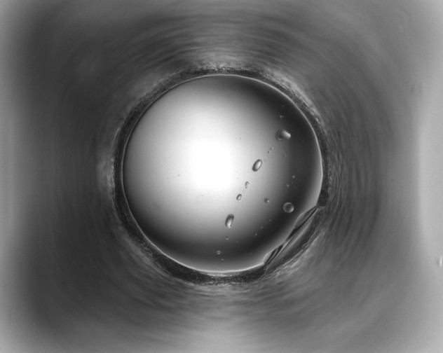 X0000088690629200705311157