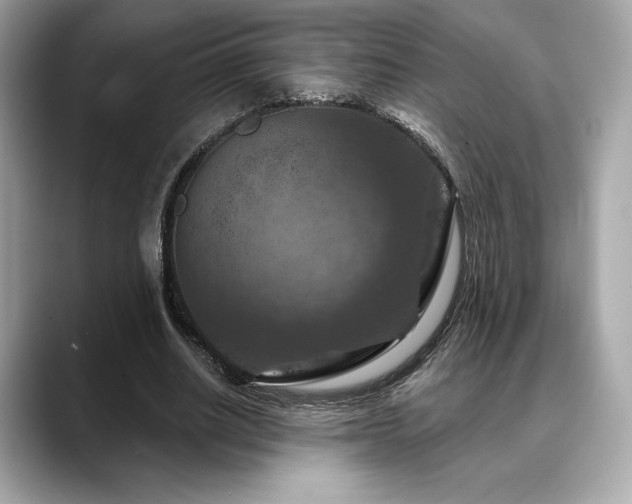 X0000088690630200705311157