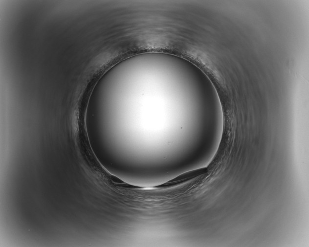 X0000088690631200705311157