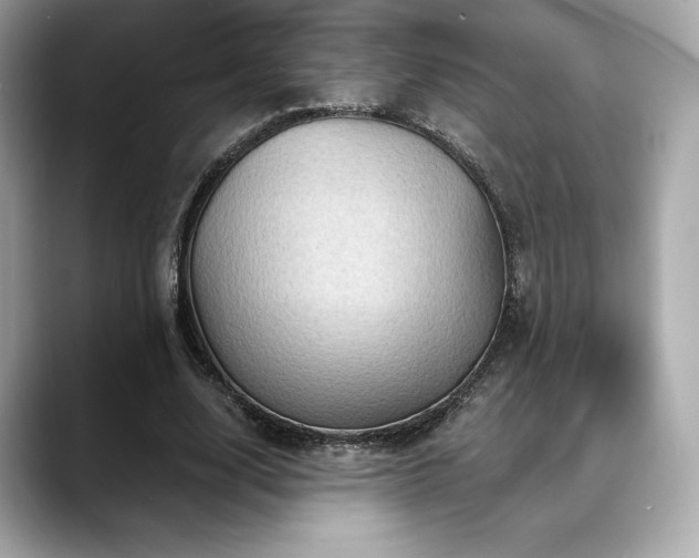 X0000088690632200705311157