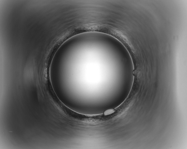 X0000088690633200705311157