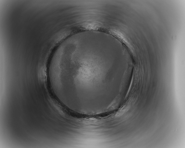 X0000088690634200705311157