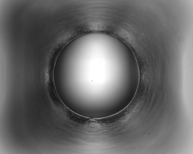 X0000088690635200705311157