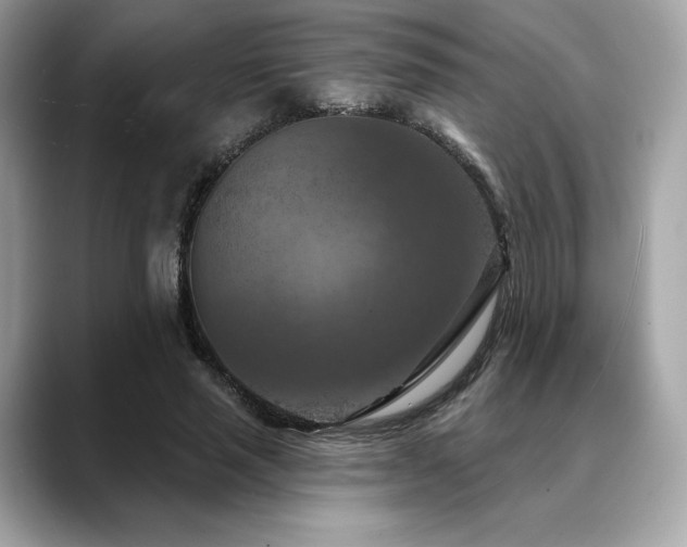 X0000088690637200705311157