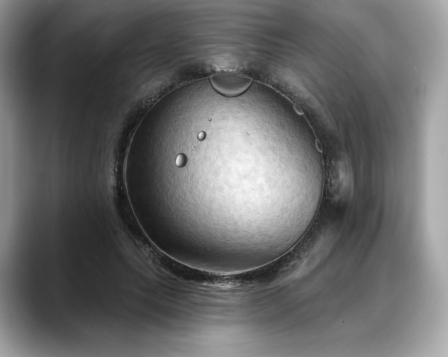 X0000088690639200705311157