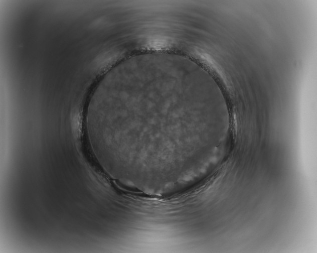X0000088690640200705311157
