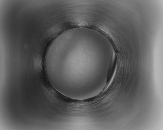 X0000088690643200705311157