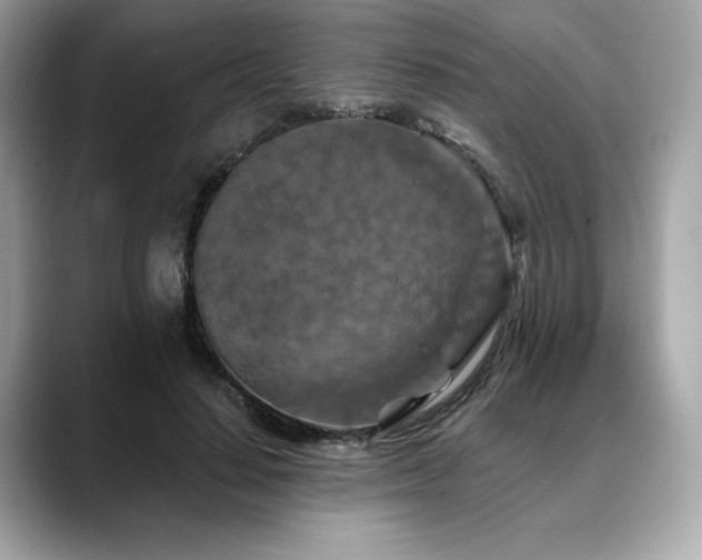 X0000088690644200705311157