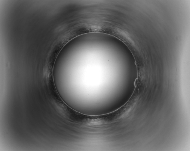 X0000088690645200705311157
