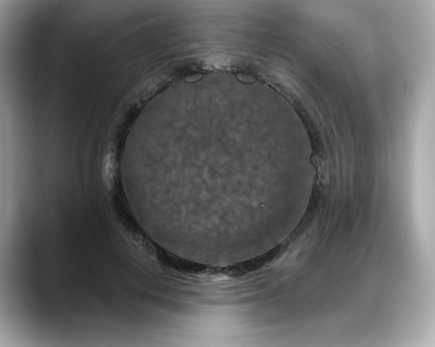 X0000088690648200705311157