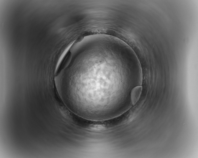 X0000088690649200705311157