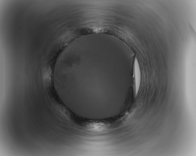 X0000088690650200705311157