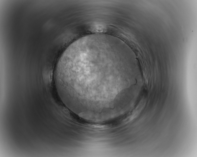 X0000088690652200705311157