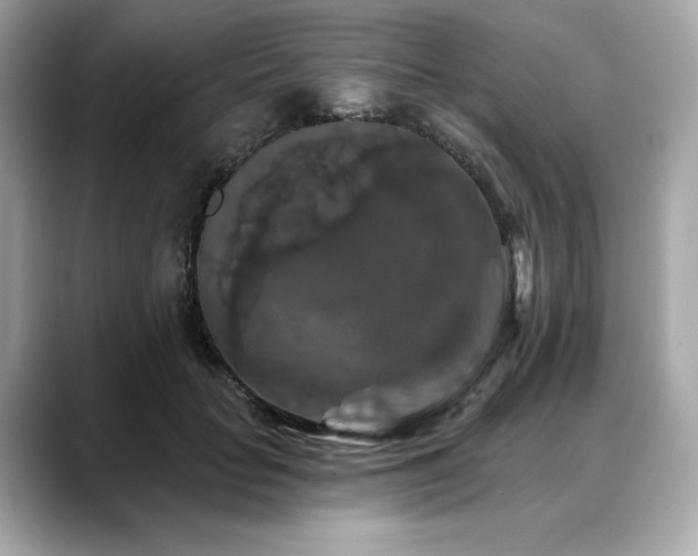 X0000088690653200705311157
