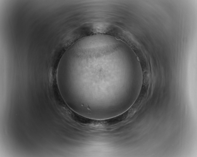 X0000088690655200705311157