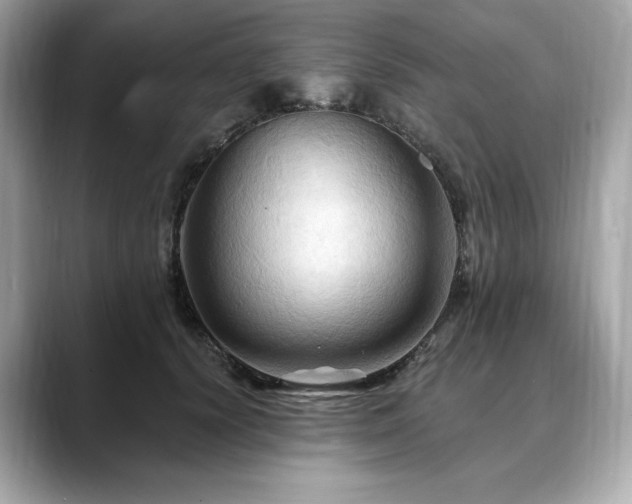 X0000088690656200705311157